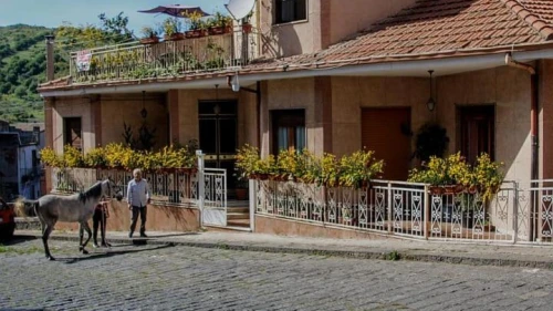Casa Don Vicenzo