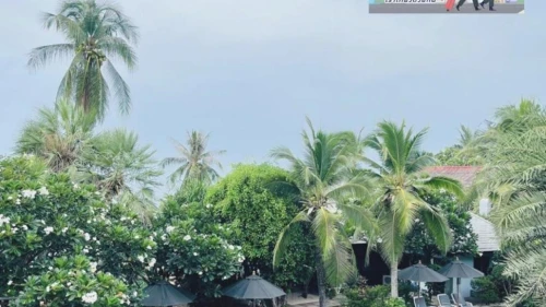 Marina Villa